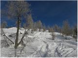 Planina Zajavornik - Brda